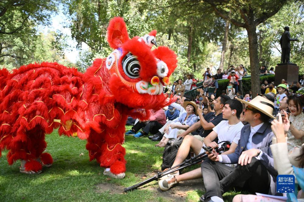 斗鱼黄金大奖赛分组